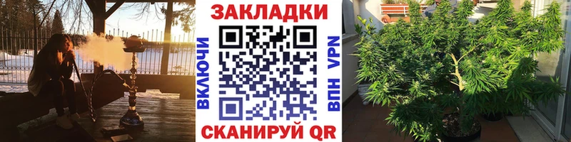 Как найти закладки Новоржев Кокаин A-PVP Бутират Меф мяу мяу Бошки Шишки