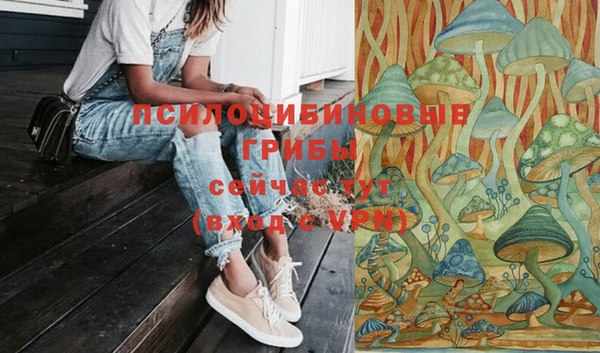 бошки Белокуриха