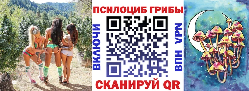 Галлюциногенные грибы Psilocybe купить закладку Новоржев